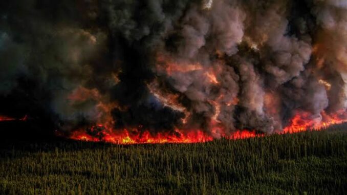 Canada Wildfire Latest Update: New York pollution to remain hazardous Photos