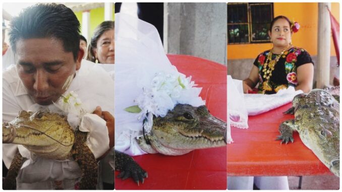 Mayor in Mexico Marries Alligator-Like Reptile in Traditional Ceremony