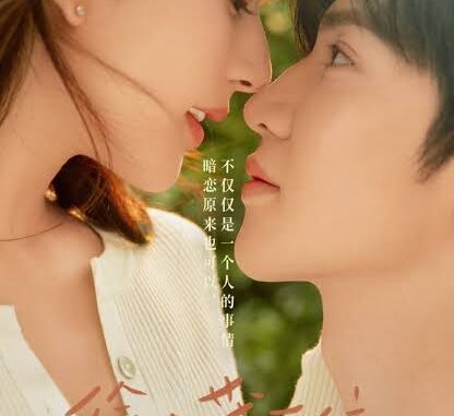 Hidden Love Chinese Drama Episodes (Season 1) (2023)