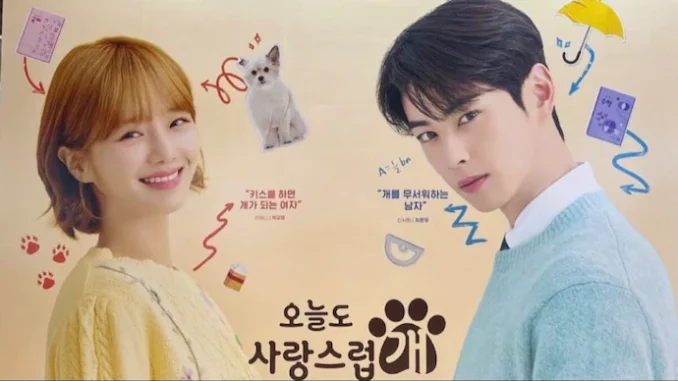Leaked Video of Cha Eun-woo and Park Gyu-young in 'A Good Day To Be A Dog' Goes Viral