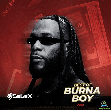 DJ Selex - Best Of Burna Boy Mixtape Vol.2 | Download Mix MP3