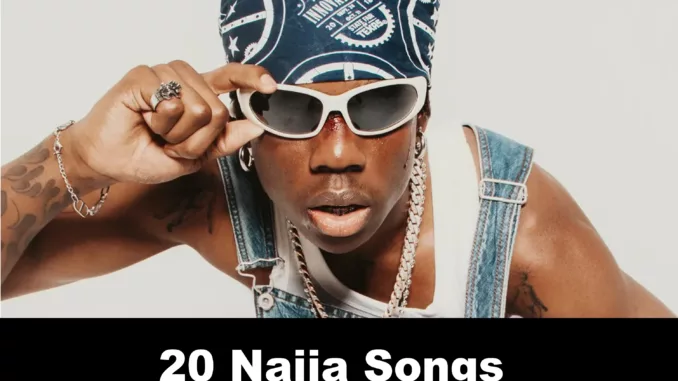 20 2023 Naija Songs to Download and Enjoy Before 2024